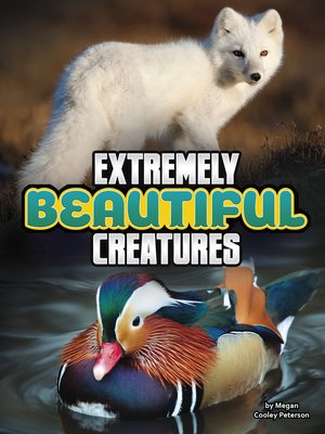 Extremely Beautiful Creatures - ebook